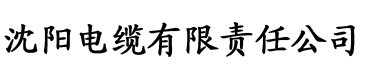 高潮内射免费亚洲日韩欧美电缆厂logo